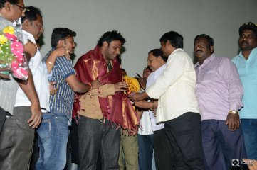 Bhale Manchi Roju Movie Success Tour